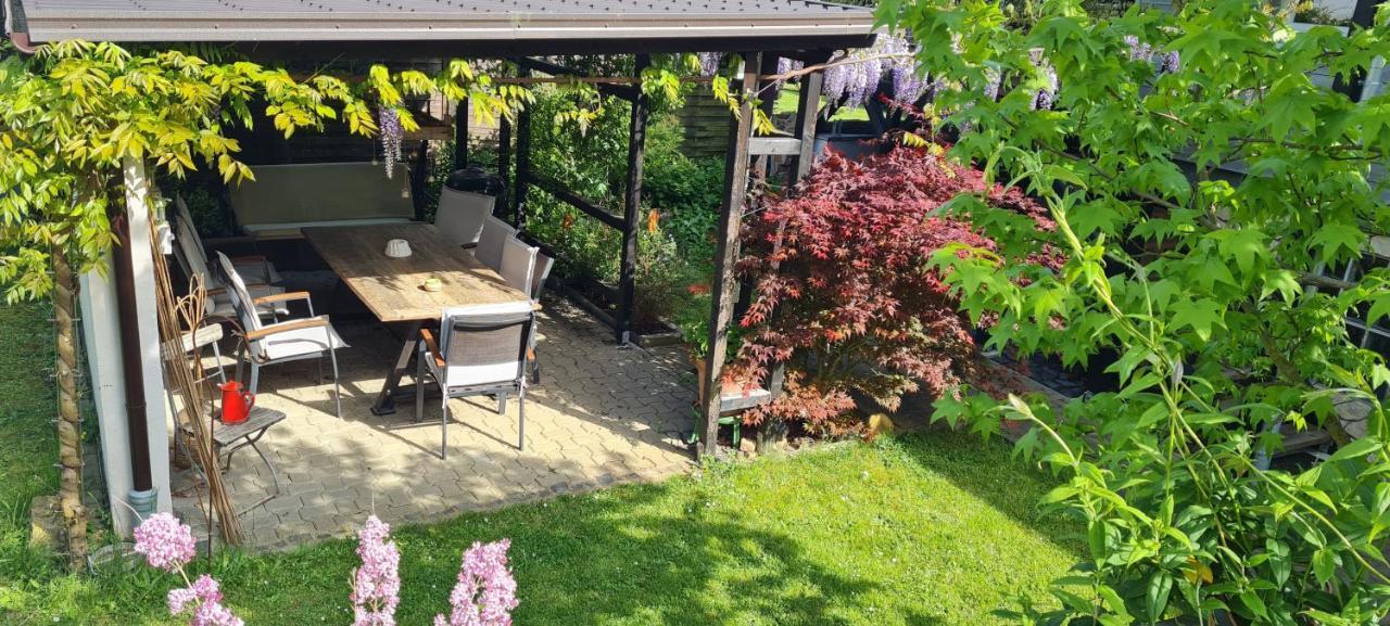 Rose Apartment Fritzlar